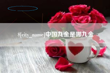 大丰中国九金是哪九金