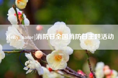 大丰消防日全国消防日主题活动