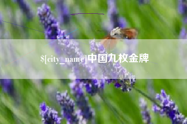 大丰中国九枚金牌