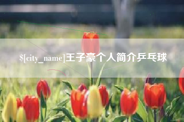 大丰王子豪个人简介乒乓球