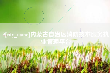 大丰内蒙古自治区消防技术服务执业管理平台
