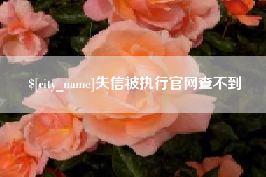 大丰失信被执行官网查不到