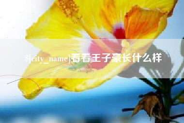 大丰看看王子豪长什么样