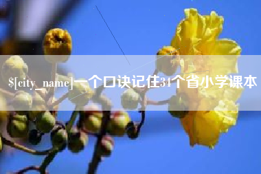 大丰一个口诀记住34个省小学课本