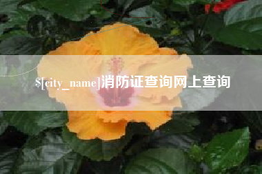 大丰消防证查询网上查询