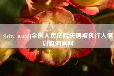大丰全国人民法院失信被执行人信息查询官网