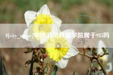 大丰中国消防救援学院属于985吗
