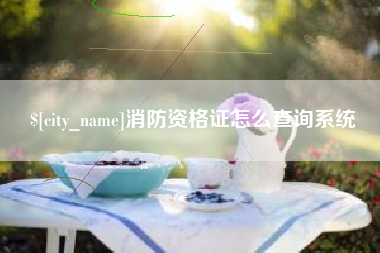 大丰消防资格证怎么查询系统