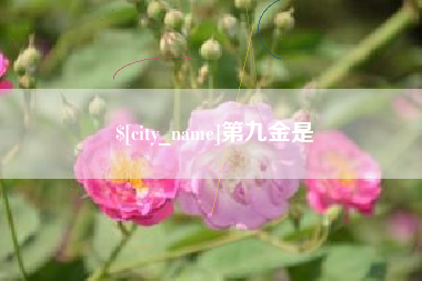 大丰第九金是
