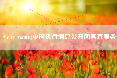 大丰中国执行信息公开网官方服务