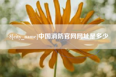 大丰中国消防官网网址是多少