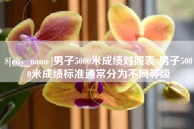 大丰男子5000米成绩对照表-男子5000米成绩标准通常分为不同等级