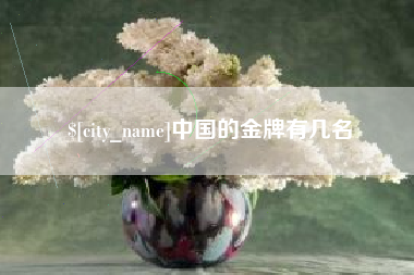 大丰中国的金牌有几名