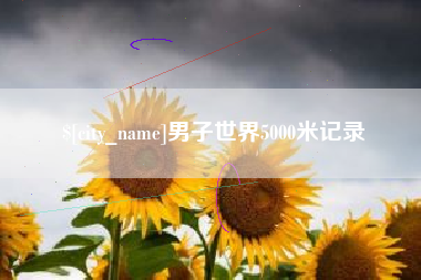 大丰男子世界5000米记录