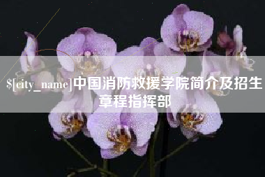 大丰中国消防救援学院简介及招生章程指挥部