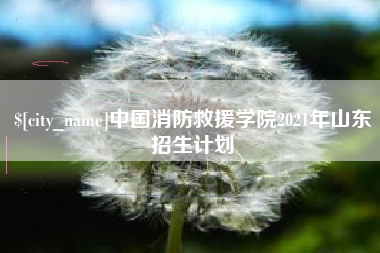 大丰中国消防救援学院2021年山东招生计划