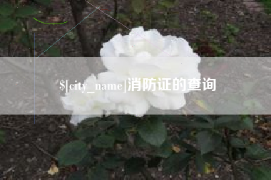 大丰消防证的查询