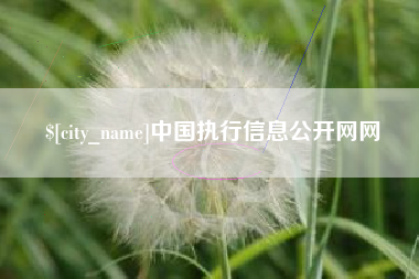 大丰中国执行信息公开网网