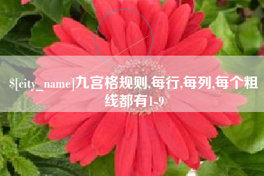 大丰九宫格规则,每行,每列,每个粗线都有1-9