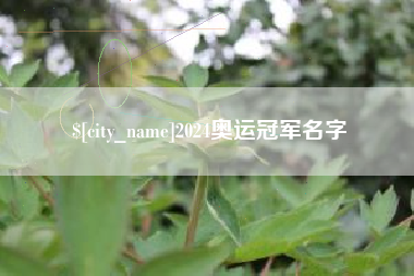 大丰2024奥运冠军名字