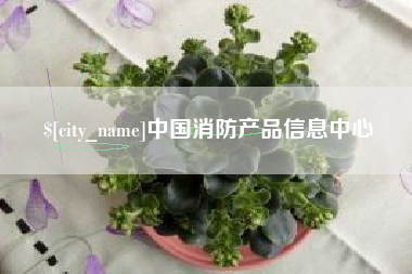 大丰中国消防产品信息中心