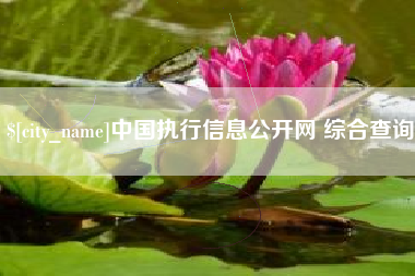 大丰中国执行信息公开网 综合查询