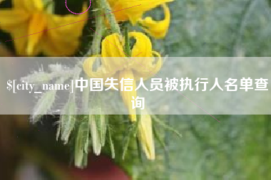 大丰中国失信人员被执行人名单查询