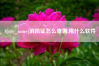 大丰消防证怎么查询,用什么软件