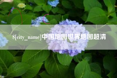 大丰中国地图世界地图超清