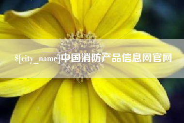 大丰中国消防产品信息网官网