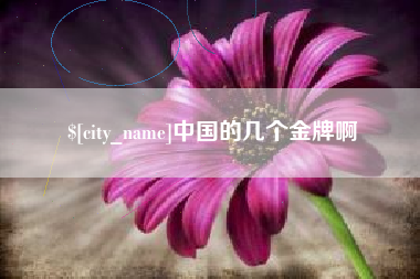 大丰中国的几个金牌啊