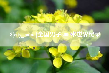 大丰全国男子5000米世界纪录
