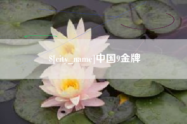大丰中国9金牌