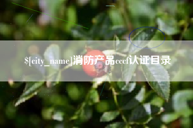 大丰消防产品cccf认证目录