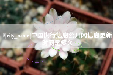 大丰中国执行信息公开网信息更新时间是多久