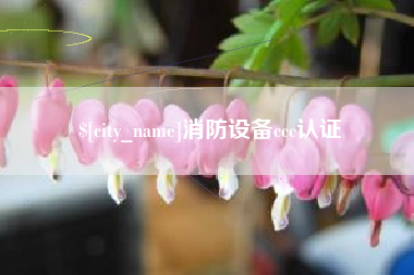 大丰消防设备ccc认证