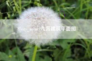 大丰九宫建筑平面图