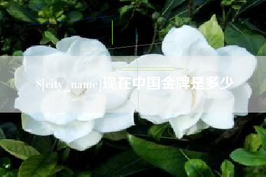 大丰现在中国金牌是多少
