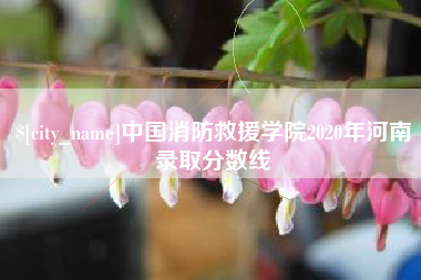 大丰中国消防救援学院2020年河南录取分数线