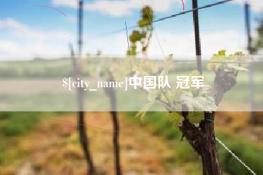 大丰中国队 冠军