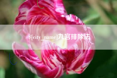 大丰九宫排除法