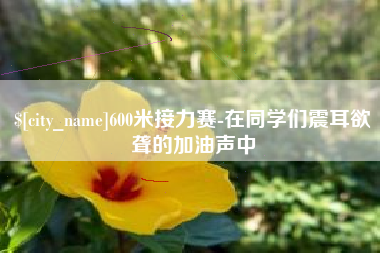 大丰600米接力赛-在同学们震耳欲聋的加油声中
