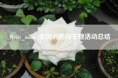 大丰全国消防日主题活动总结