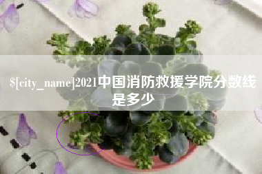 大丰2021中国消防救援学院分数线是多少