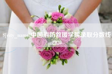 大丰中国消防救援学院录取分数线2020