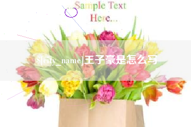 大丰王子豪是怎么写