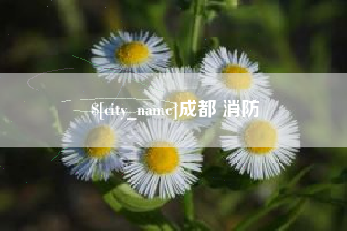 大丰成都 消防