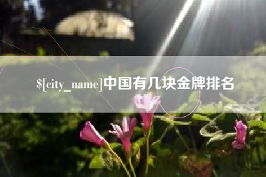 大丰中国有几块金牌排名