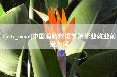 大丰中国消防救援学院毕业就业前景如何