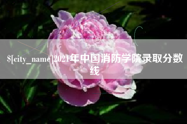 大丰2021年中国消防学院录取分数线